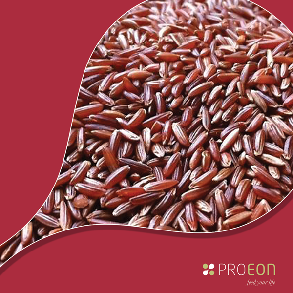 Proeon-1
