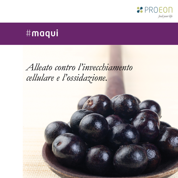 Proeon-2