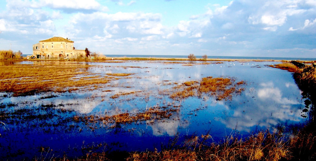 Riserva Naturale Regionale Sentina